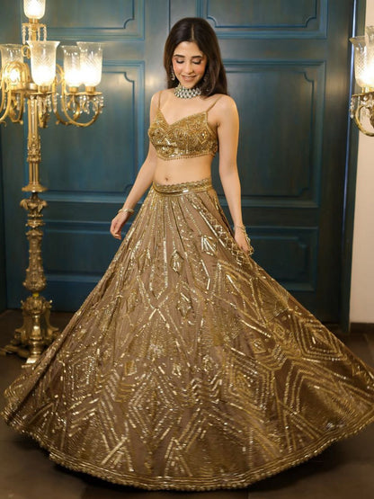 Butterfly Net Lehenga with Heavy Embroidery & Sequins Work
