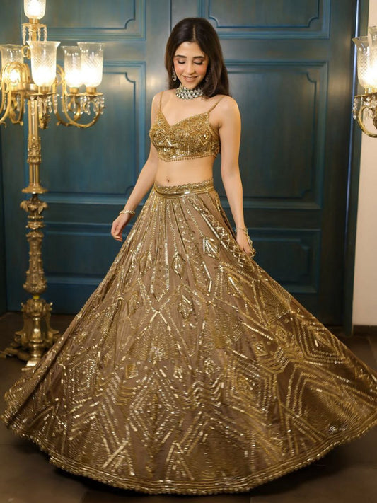 Butterfly Net Lehenga with Heavy Embroidery & Sequins Work