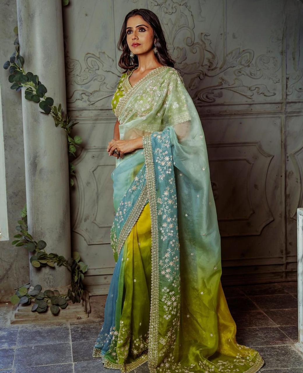 The Spring Meadow Silk Organza Digital Printed Saree