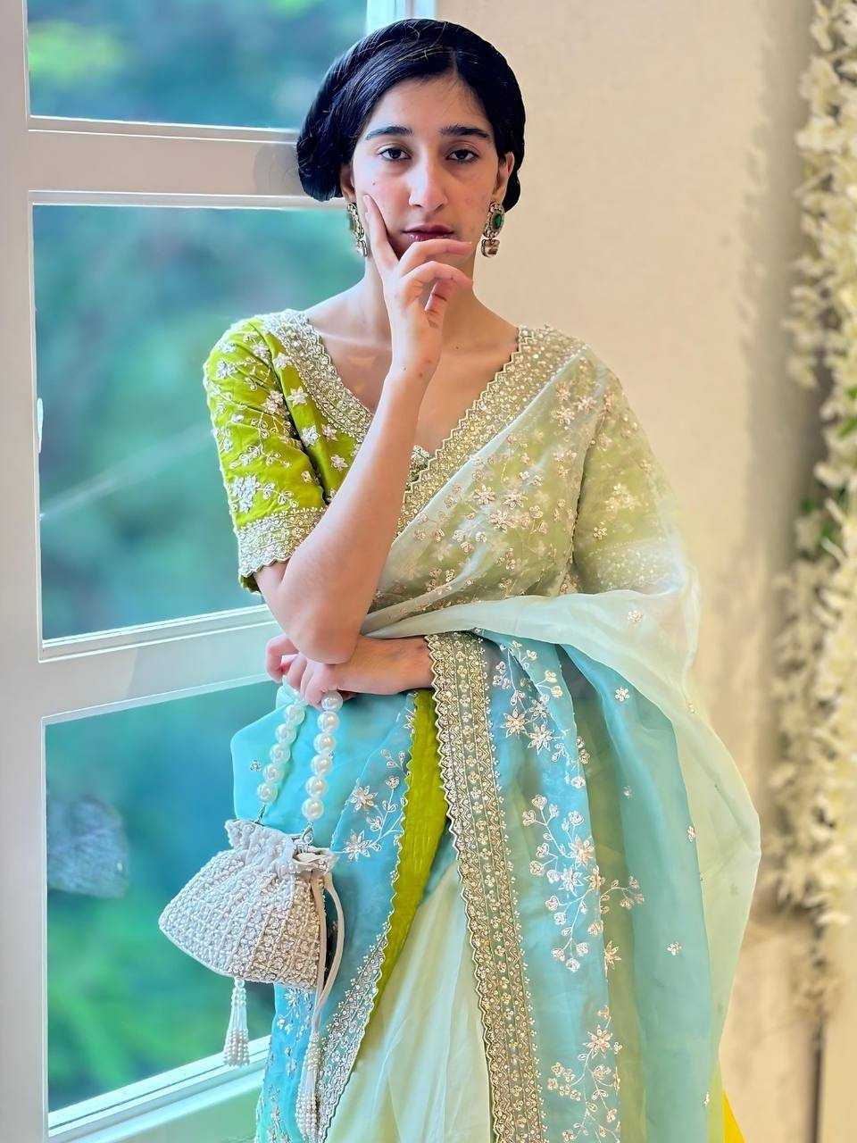 The Spring Meadow Silk Organza Digital Printed Saree