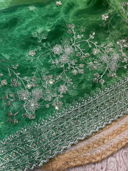 The Spring Meadow Silk Organza Digital Printed Saree