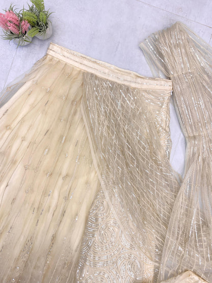 Butterfly Net Golden Embroidered Ready to Wear Saree