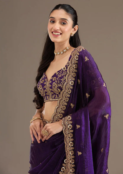 Luxury Purple Velvet Silk Saree with Zari and Sequin Border