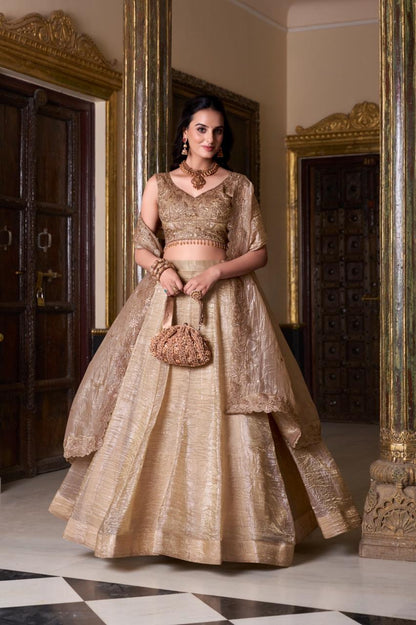 Chiku Color Lucknowi With Sequins Work Georgette Lehenga Choli