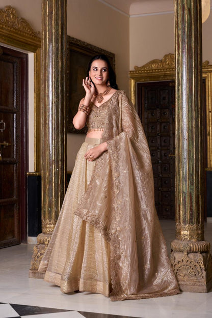 Chiku Color Lucknowi With Sequins Work Georgette Lehenga Choli