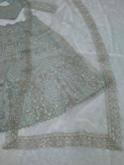 Elegent Butterfly Net With Embroidery Work Wedding Wear Lehenga