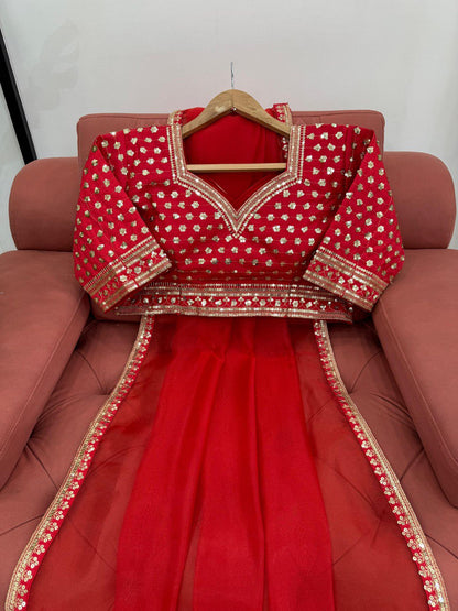 Heavy Organza Sequence Work Silk red saree