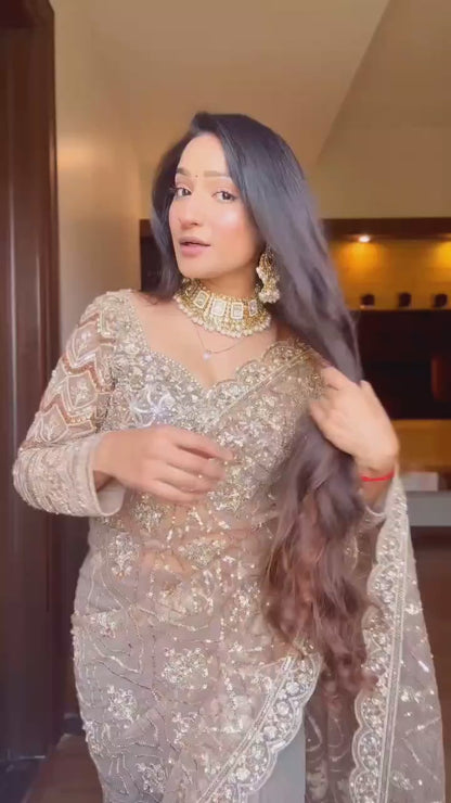 Premium Butterfly Silver Net Party Wear Saree