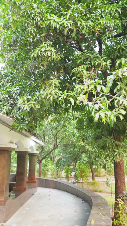 Casual Wear Rayon Printed Tunic Top