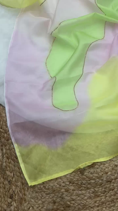 Lightweight Digital Printed Tebi Silk Saree