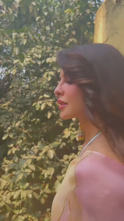 Lightweight Digital Printed Tebi Silk Saree