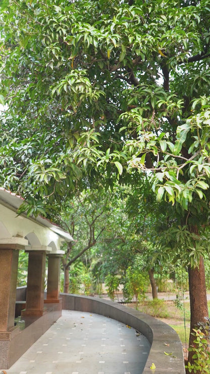 Stuning Festive Wear Mix Printed One Piece  Dress