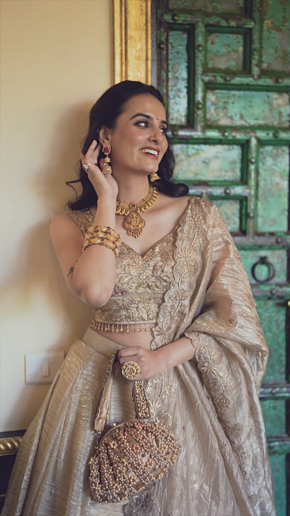 Chiku Color Lucknowi With Sequins Work Georgette Lehenga Choli